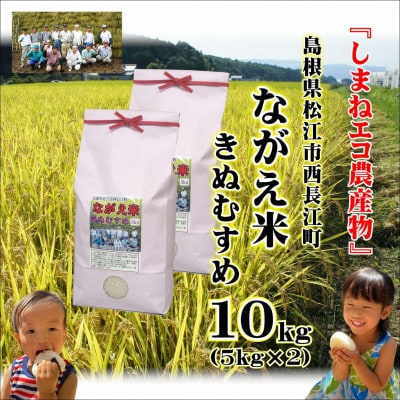 松江市「ながえ米」きぬむすめ10kg(5kg×2)