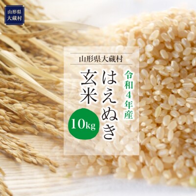 令和4年産 大蔵村 はえぬき【玄米】 10kg(10kg×1袋)