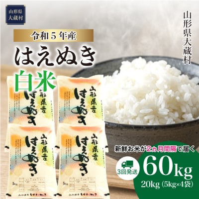 令和5年産 はえぬき【白米】60kg定期便(20kg&times;3回) 山形県大蔵村