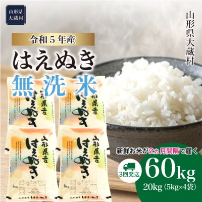 令和5年産 はえぬき【無洗米】60kg定期便(20kg×3回)　山形県大蔵村
