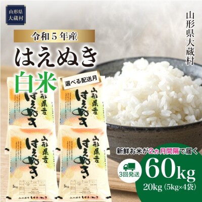 先行受付 &lt;2023年12月中旬発送開始&gt; 令和5年産 はえぬき【白米】60kg(20kg&times;3回)