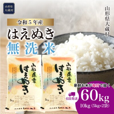 令和5年産 はえぬき【無洗米】60kg定期便(10kg×6回)　山形県大蔵村