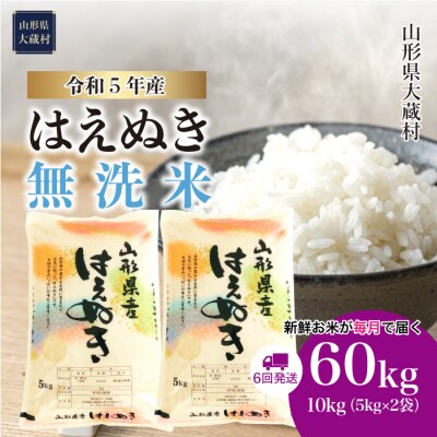 令和5年産 はえぬき【無洗米】60kg定期便(10kg&times;6回) 山形県大蔵村