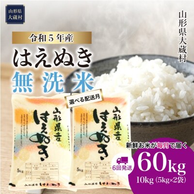 先行受付 &lt;2024年1月中旬発送開始&gt; 令和5年産 はえぬき【無洗米】60kg(10kg&times;6回)