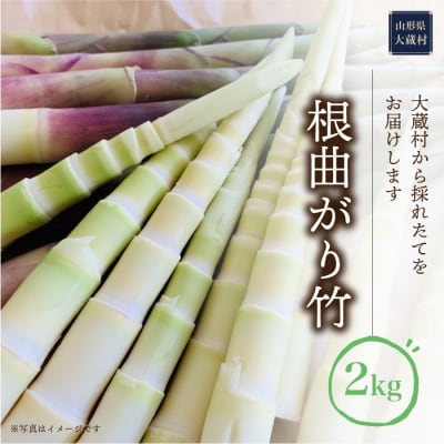 大蔵村産　根曲がり竹　約2kg