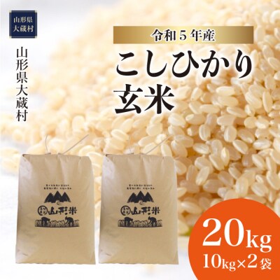 令和5年産 大蔵村産 コシヒカリ 【玄米】 20kg
