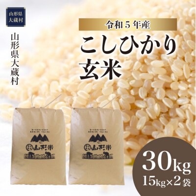 令和5年産 大蔵村産 コシヒカリ 【玄米】 30kg
