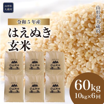 令和5年産 はえぬき【玄米】60kg定期便(10kg×6回)　山形県大蔵村