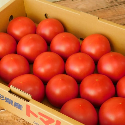 大蔵村特産品　トマト　約4kg