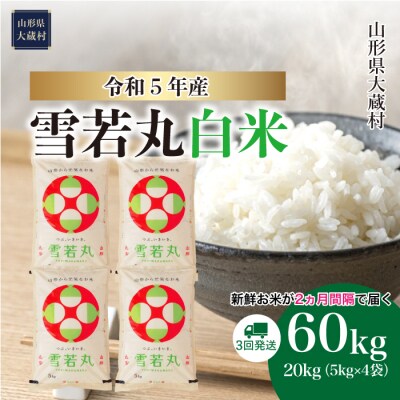 <令和5年産米> 雪若丸 【白米】定期便 60kg(20kg×3回お届け)山形県 大蔵村