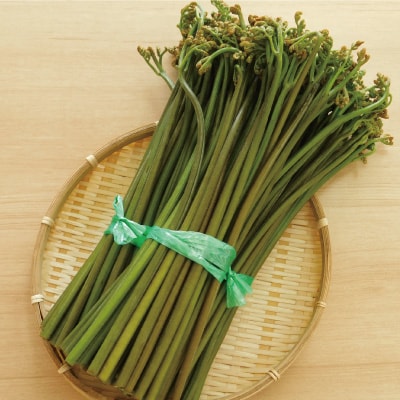 大蔵村産　生わらび3kg