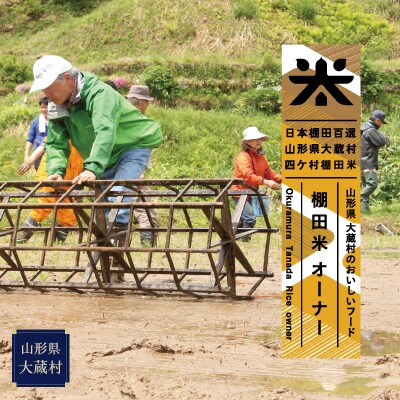 日本棚田100選　四ヶ村棚田米オーナー　品種:里のゆき