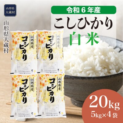 令和6年産新米＜令和6年10月下旬発送＞ コシヒカリ【白米】20kg(5kg×4 