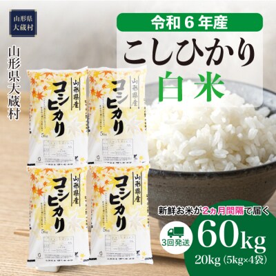 令和6年 新米 魚沼産コシヒカリ玄米20キロ 十日町産 【公式通販】