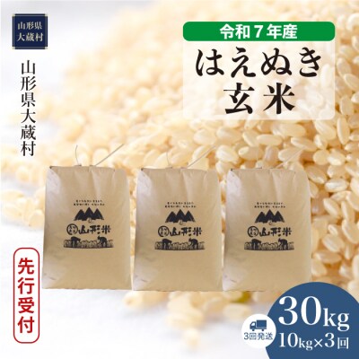 ＜令和7年産米受付＞ 令和7年10月中旬発送 はえぬき【玄米】30kg 定期便 (10kg×3回) 