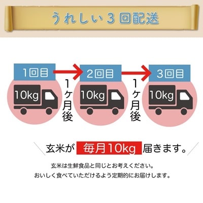 ＜令和7年産米受付＞ 令和7年10月中旬発送 はえぬき【玄米】30kg 定期便 (10kg×3回) 