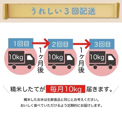 ＜令和7年産米受付＞ 令和7年10月下旬発送 はえぬき【白米】30kg定期便 (10kg×3回)　