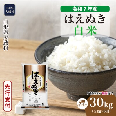 ＜令和7年産米受付＞ 令和7年12月上旬発送 はえぬき【白米】30kg定期便 (5kg×6回)　