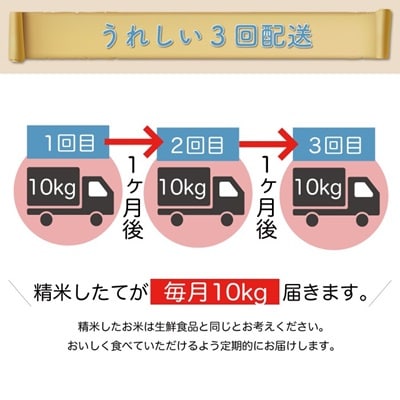 ＜令和7年産米受付＞令和7年11月中旬発送 こしひかり【無洗米】30kg定期便 (10kg×3回)　