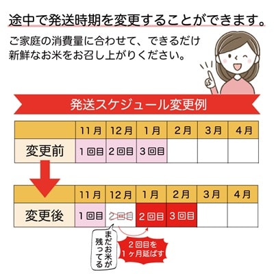 ＜令和7年産米受付＞令和7年11月中旬発送 こしひかり【無洗米】30kg定期便 (10kg×3回)　