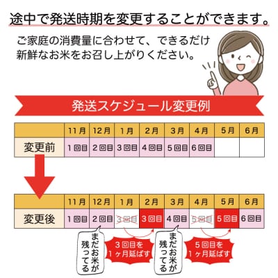 ＜令和7年産米受付＞令和7年12月上旬発送 こしひかり【無洗米】30kg定期便 (5kg×6回)　