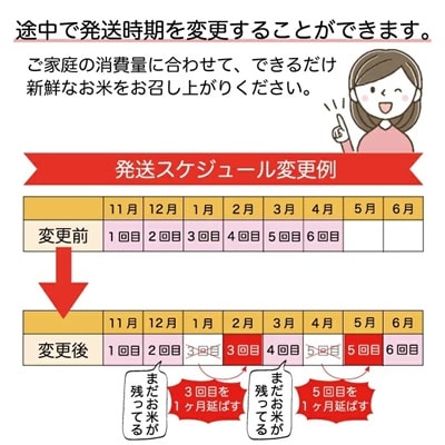 ＜令和7年産米受付＞令和7年12月中旬発送 雪若丸【無洗米】60kg定期便(10kg×6回)　