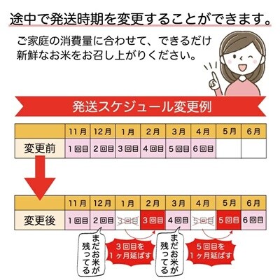 ＜令和7年産米受付＞令和8年1月中旬発送 雪若丸【無洗米】60kg定期便(10kg×6回)　