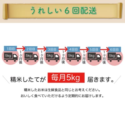 ＜令和7年産米＞はえぬき【白米】30kg定期便(5kg×6回) 配送時期指定できます!
