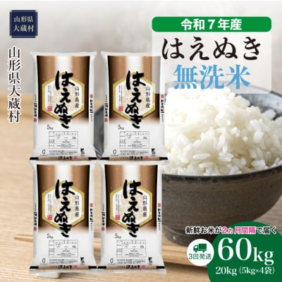 ＜令和7年産米＞はえぬき【無洗米】60kg定期便(20kg×3回) 配送時期指定できます!