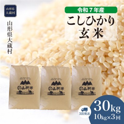 ＜令和7年産米＞こしひかり【玄米】30kg 定期便(10kg×3回) 配送時期指定できます!