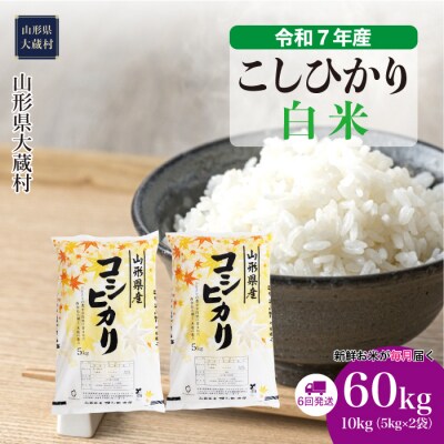 ＜令和7年産米＞こしひかり【白米】60kg定期便(10kg×6回) 配送時期指定できます!