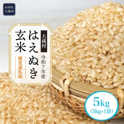 ■数量限定返礼品■令和7年産 はえぬき【玄米】5kg(5kg×1袋) 大蔵村＜配送時期指定可＞