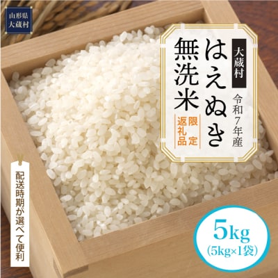 ■数量限定返礼品■令和7年産 はえぬき【無洗米】5kg(5kg×1袋) 大蔵村＜配送時期指定可＞