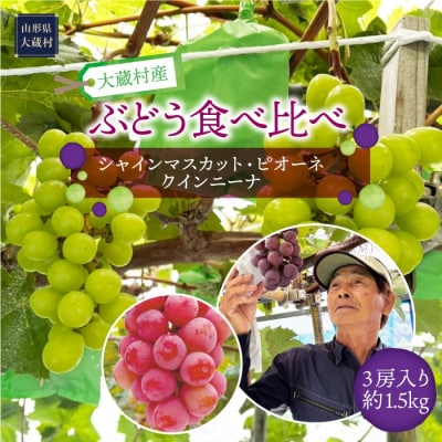大蔵村産　ぶどう[シャインマスカット・ピオーネ・クインニーナ]食べ比べ　約1.5kg