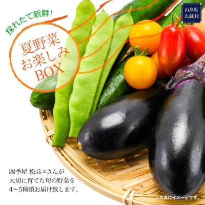 採れたて新鮮!夏野菜お楽しみBOX