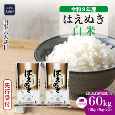 ＜8年産米先行受付＞令和9年2月中旬発送 はえぬき【白米】60kg定期便(10kg×6回)大蔵村