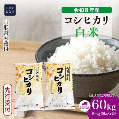 ＜8年産米先行受付＞令和8年11月上旬発送 こしひかり【白米】60kg定期便(6回定期便)大蔵村