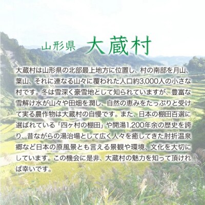 ★数量限定★　令和7年産　山形県産　はえぬき【白米】20kg(5kg×4袋)大蔵村