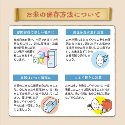 ★数量限定★　令和7年産　山形県産　こしひかり 【無洗米】 15kg (5kg×3袋) 大蔵村