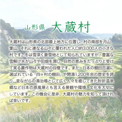 ★数量限定★　令和7年産　山形県産　雪若丸【玄米】15kg(15kg×1袋)大蔵村