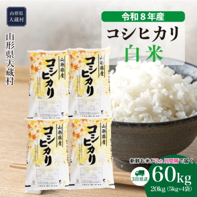 ＜令和8年産米＞こしひかり【白米】60kg定期便(20kg×3回) 配送時期指定できます!