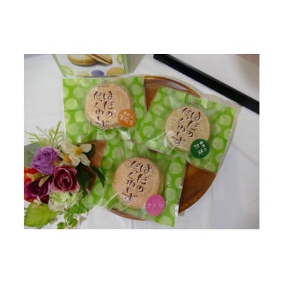 はだのだっくわーず　10個入り