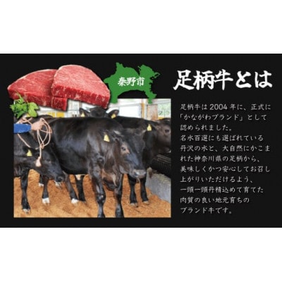 秦野市産足柄牛モモステーキ 4枚(800g)