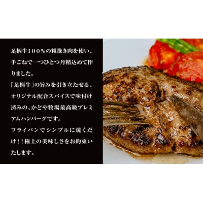 秦野市産足柄牛プレミアムハンバーグ150g　6個入