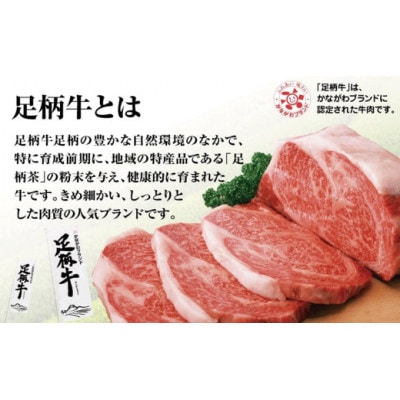 秦野市産足柄牛プレミアムハンバーグ150g　8個入