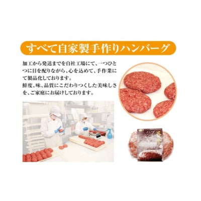 秦野市産足柄牛プレミアムハンバーグ150g　8個入