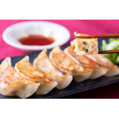 009-49_2種の餃子詰め合わせ