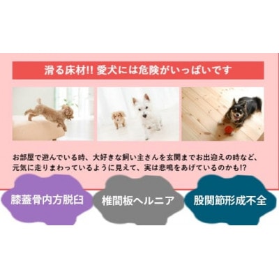 【ペット用】簡単!滑り止め床用コーティング剤セット(500ml+オールワックスワイパーEX)