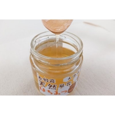 大津養蜂園の天然はちみつ(大サイズ)510g