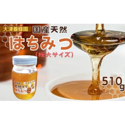 大津養蜂園の天然はちみつ(桜・大サイズ)510g